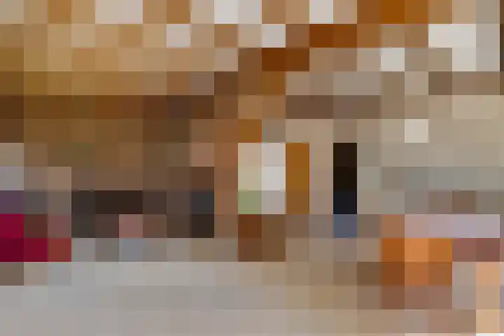 Benterdijk 1 Dalen thumbnail 14