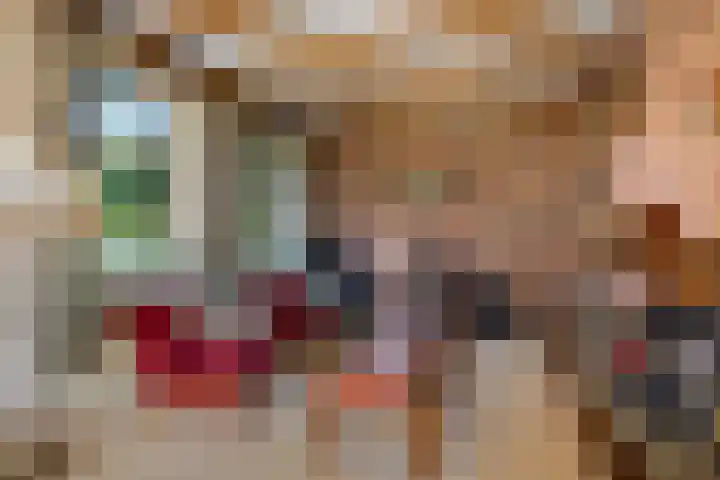 Benterdijk 1 Dalen thumbnail 15