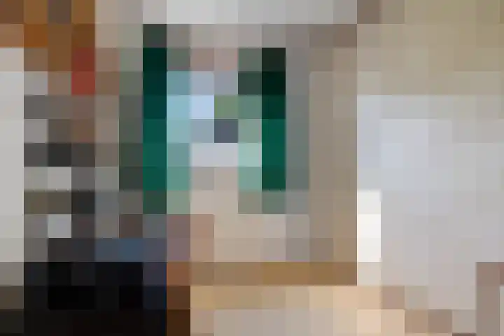 Benterdijk 1 Dalen thumbnail 19