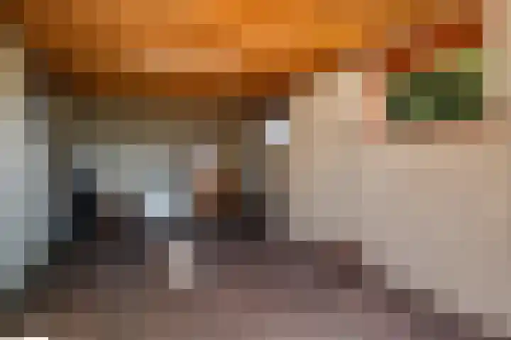 Benterdijk 1 Dalen thumbnail 20