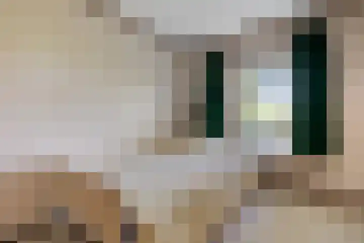 Benterdijk 1 Dalen thumbnail 21