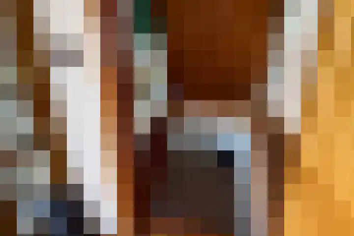 Benterdijk 1 Dalen thumbnail 23