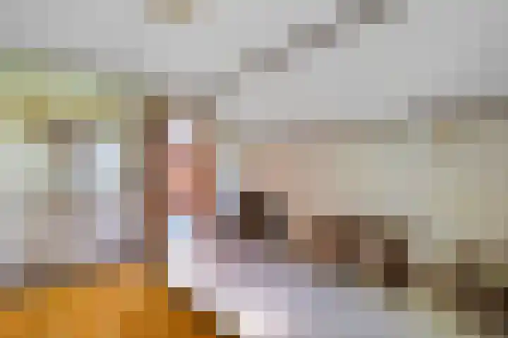 Benterdijk 1 Dalen thumbnail 25