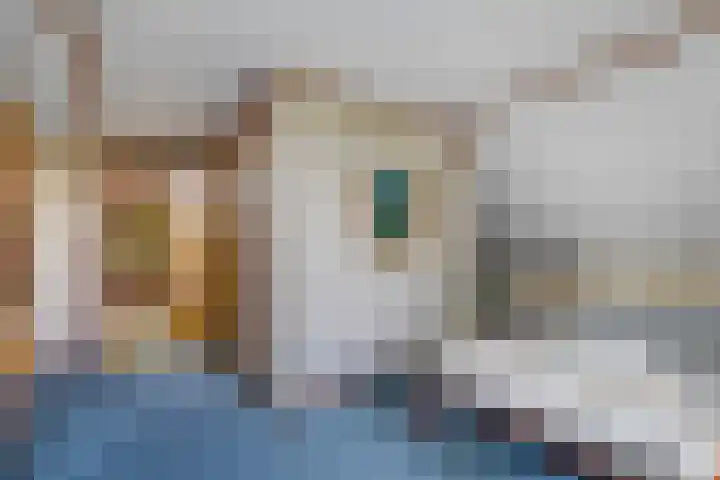 Benterdijk 1 Dalen thumbnail 27