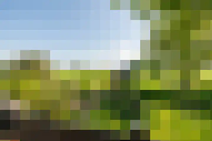 Benterdijk 1 Dalen thumbnail 29
