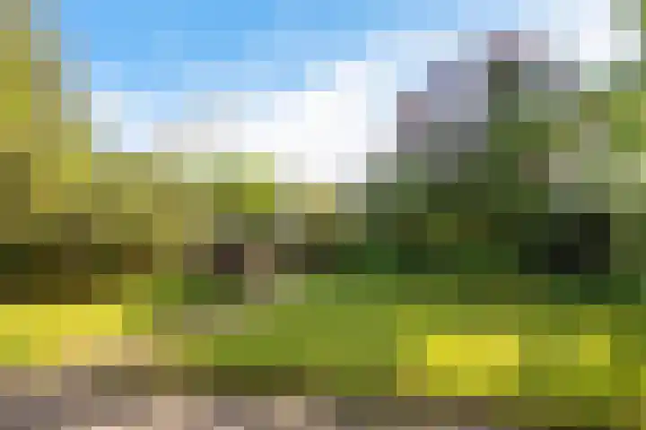 Benterdijk 1 Dalen thumbnail 32