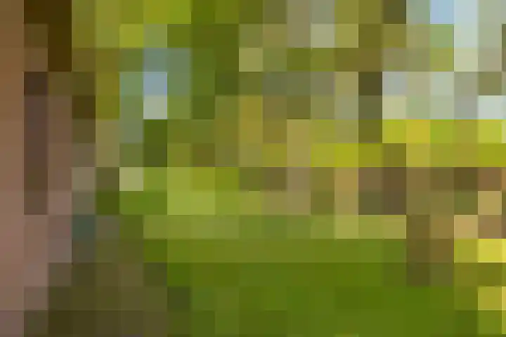Benterdijk 1 Dalen thumbnail 33
