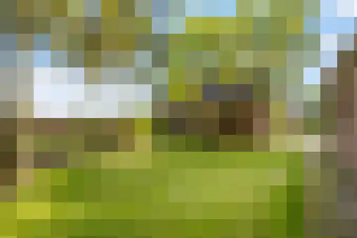 Benterdijk 1 Dalen thumbnail 34
