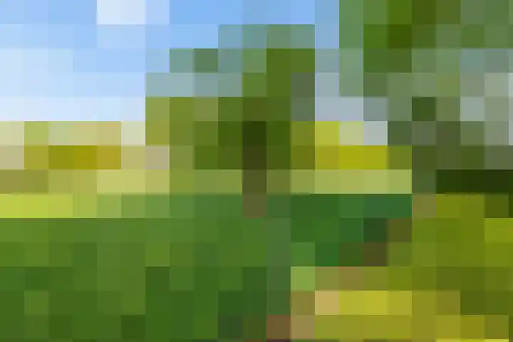 Benterdijk 1 Dalen thumbnail 35