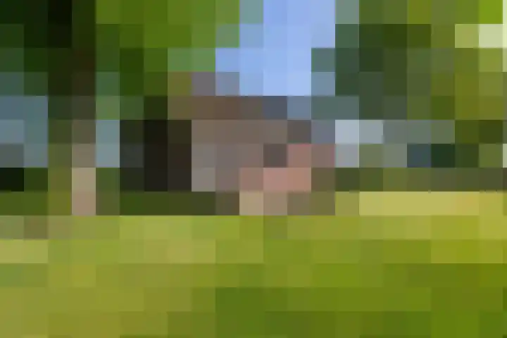 Benterdijk 1 Dalen thumbnail 36