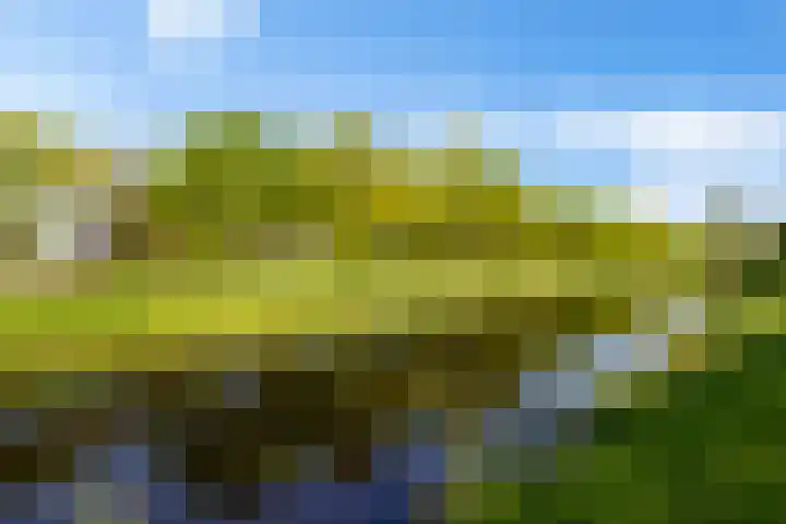 Benterdijk 1 Dalen thumbnail 37