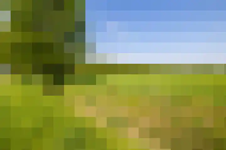 Benterdijk 1 Dalen thumbnail 4