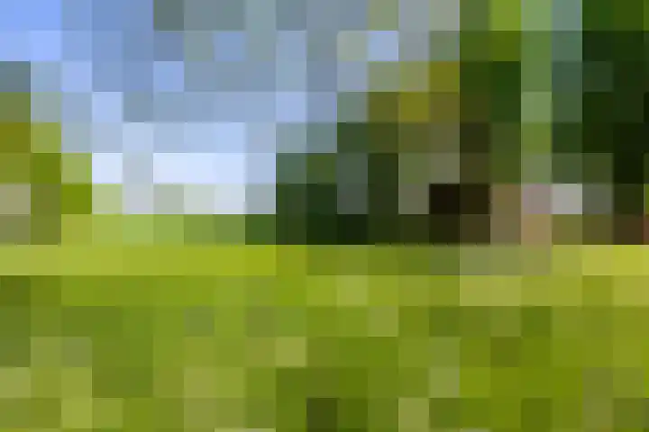 Benterdijk 1 Dalen thumbnail 5