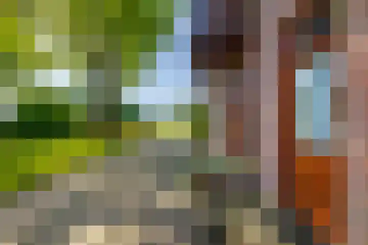 Benterdijk 1 Dalen thumbnail 6