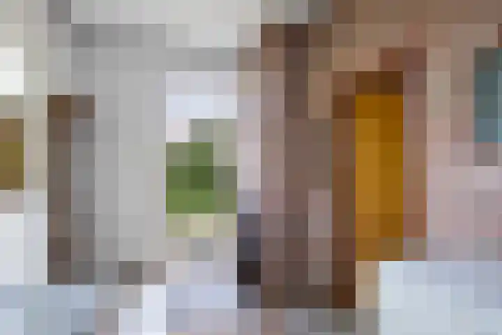 Benterdijk 1 Dalen thumbnail 8
