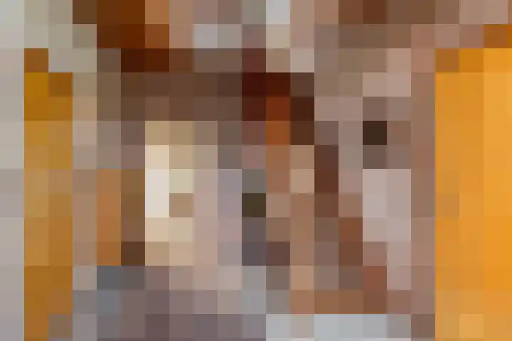 Benterdijk 1 Dalen thumbnail 9
