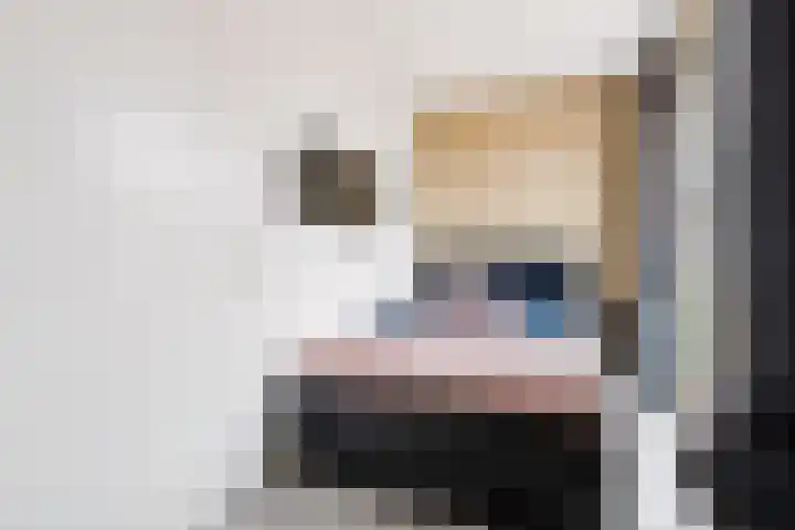 Bentheimerstraat 10 Utrecht thumbnail 20