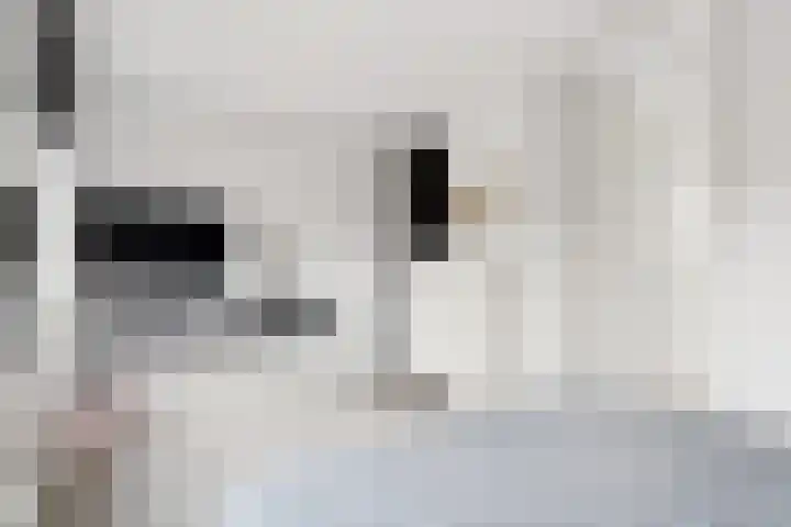 Bentheimerstraat 10 Utrecht thumbnail 28