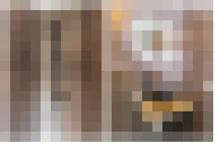 Bentheimerstraat 10 Utrecht thumbnail 30