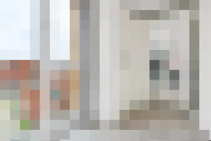 Bentheimerstraat 10 Utrecht thumbnail 32