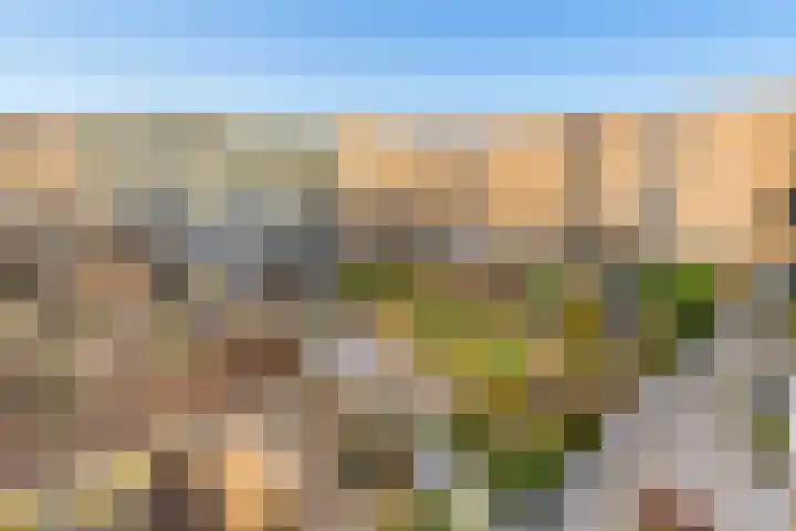 Bentheimerstraat 10 Utrecht thumbnail 37