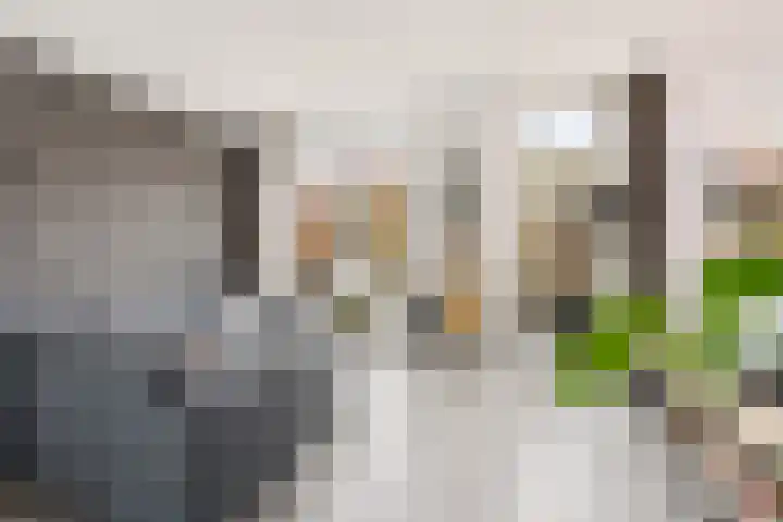 Bentheimerstraat 10 Utrecht thumbnail 9