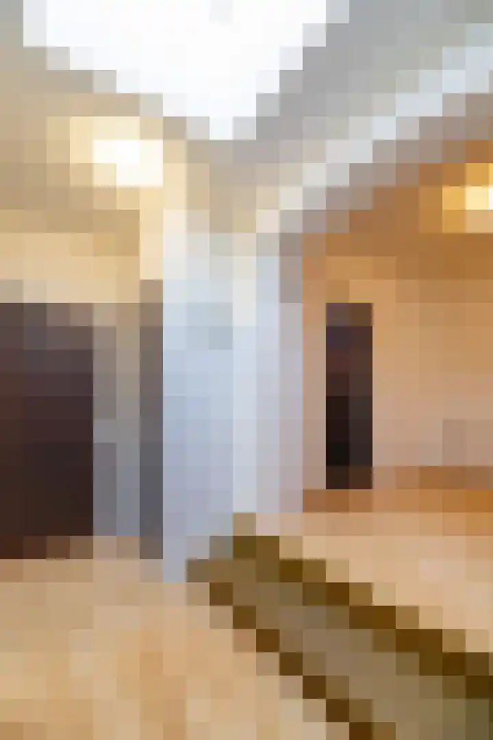 Bentheimerstraat 9 Coevorden thumbnail 8