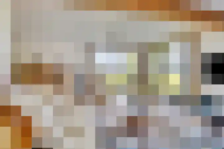 Bentheimerstraat 99 A de Lutte thumbnail 4