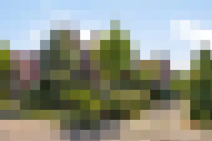 Bentincklaan 18 Leersum