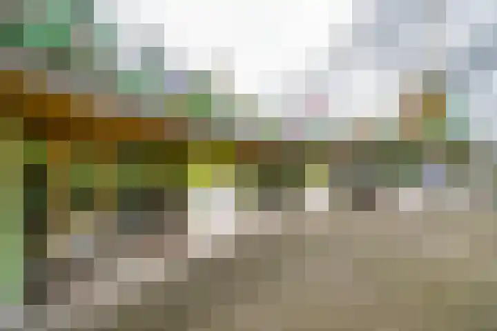 Bentincklaan 342 Rotterdam thumbnail 11