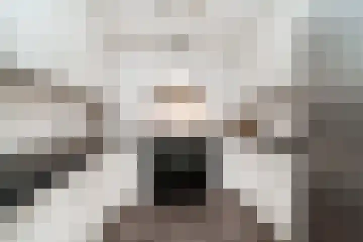 Bentincklaan 342 Rotterdam thumbnail 13