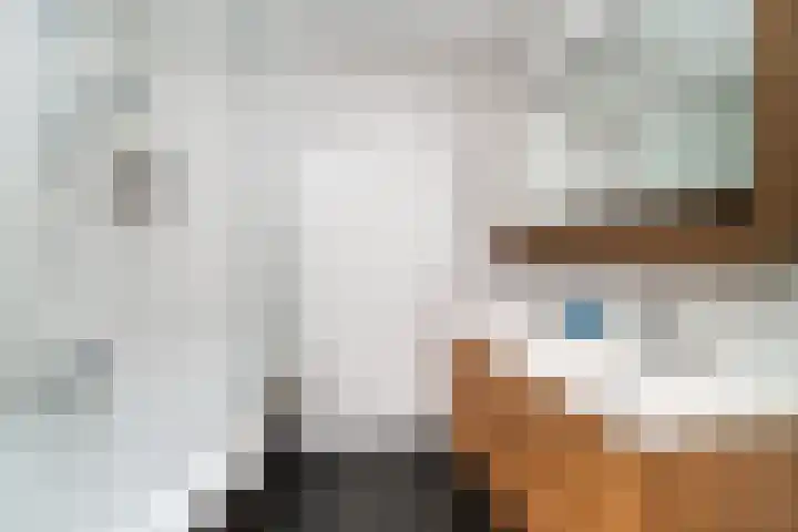Bentincklaan 342 Rotterdam thumbnail 22