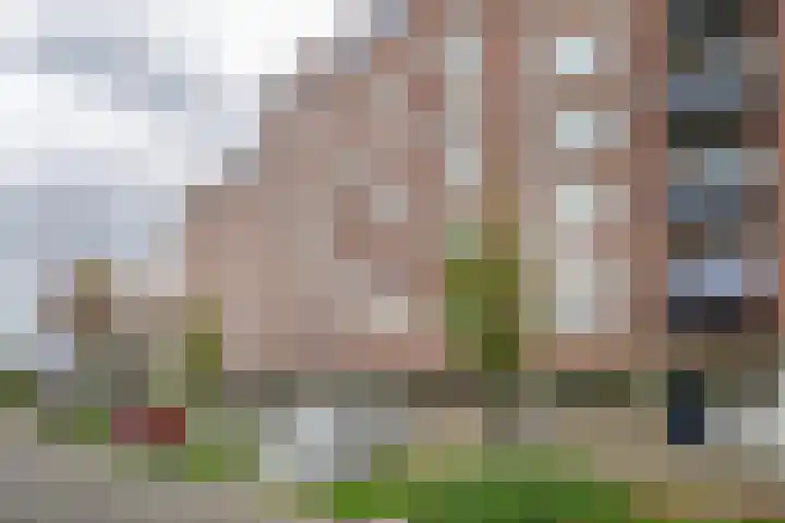 Bentincklaan 342 Rotterdam thumbnail 6