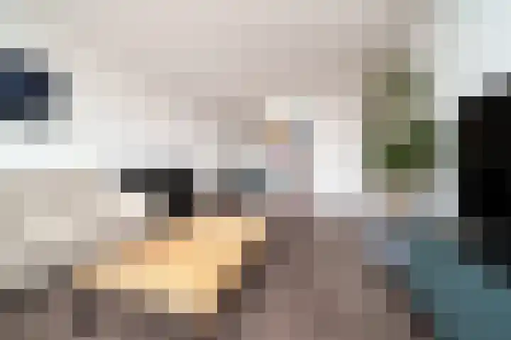 Bentincklaan 342 Rotterdam thumbnail 8
