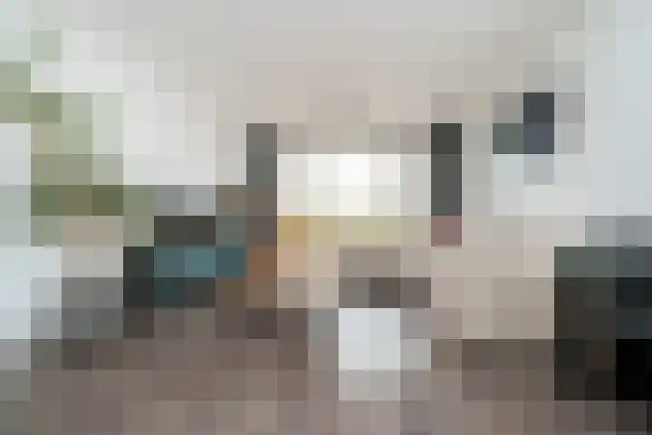 Bentincklaan 342 Rotterdam thumbnail 9