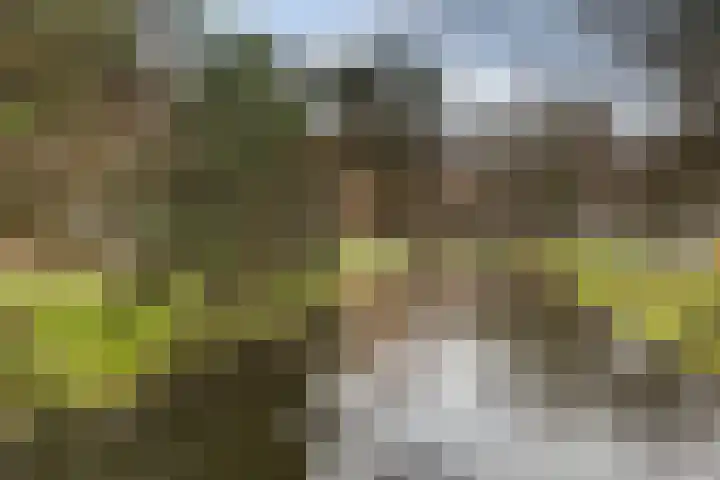 Bentincklaan 384 Rotterdam thumbnail 23