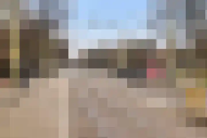 Bentincklaan 384 Rotterdam thumbnail 35