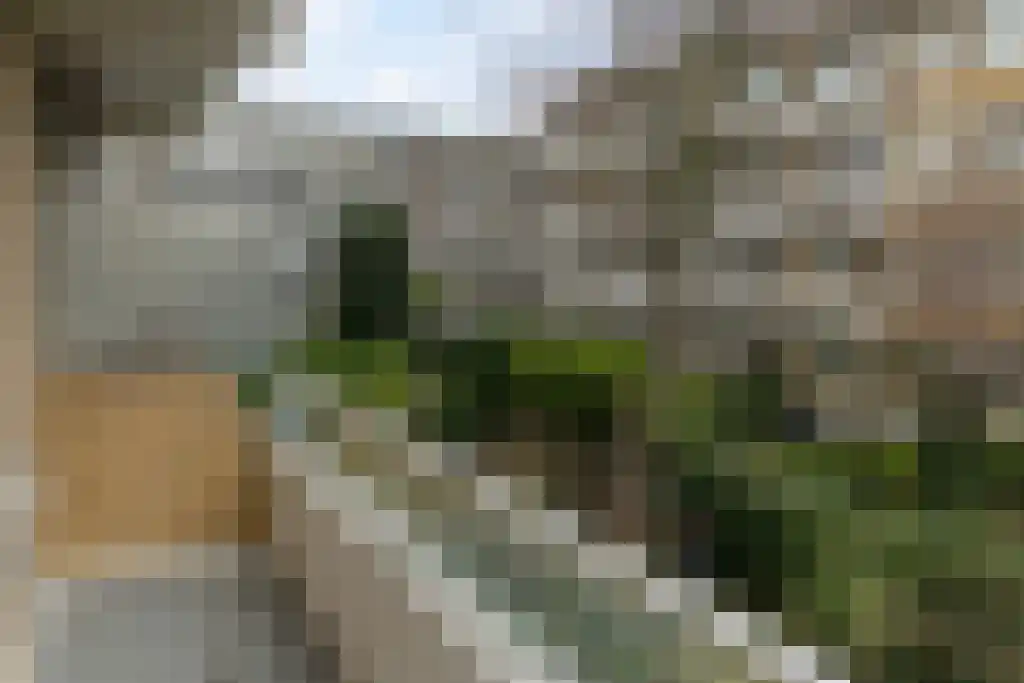 Bentincklaan 59 A Rotterdam thumbnail 15