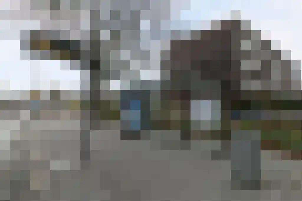 Bentincklaan 59 A Rotterdam thumbnail 20