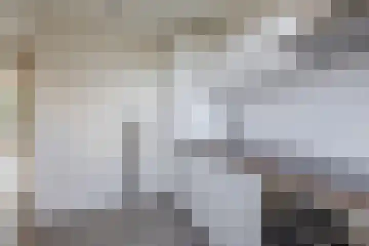 Bentinckplein 21 Rotterdam thumbnail 16