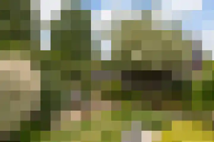 Bentinckstraat 14 Putten thumbnail 39