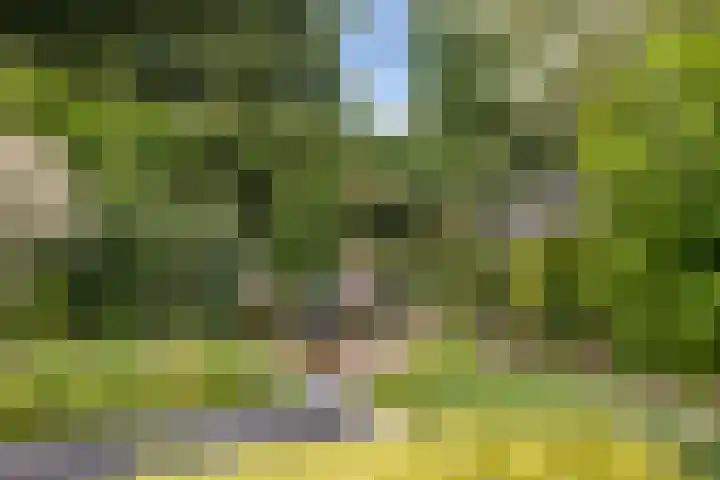 Bentinckstraat 14 Putten thumbnail 40