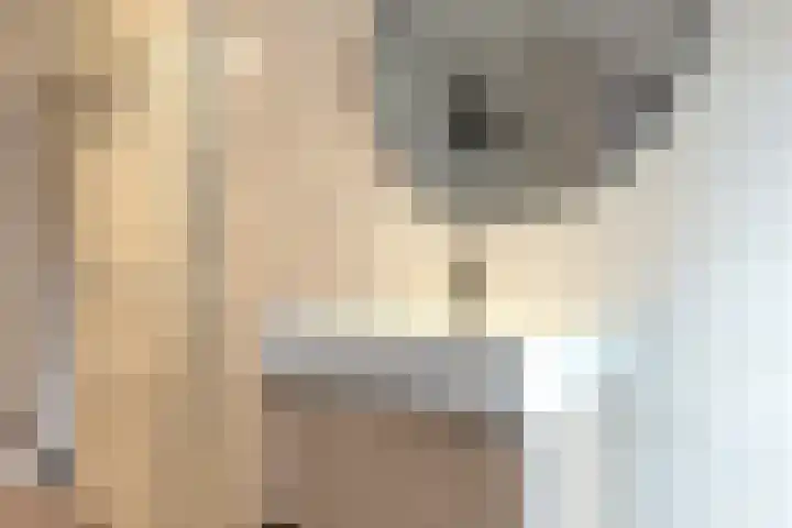 Bentstraat 98 Enschede thumbnail 33