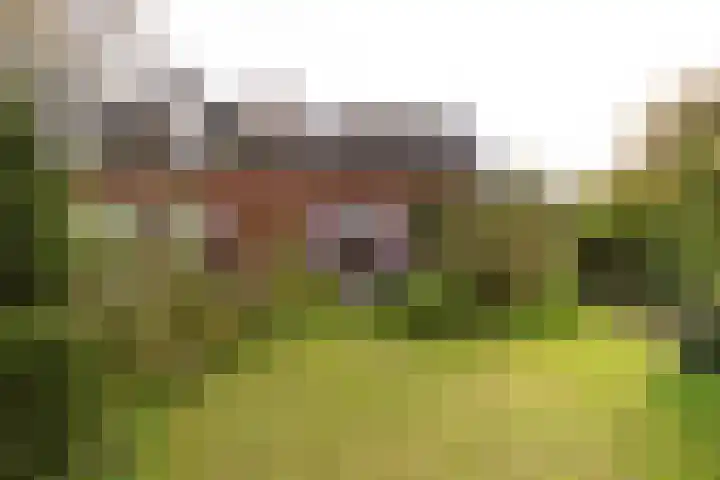 Bentveldsweg 108 Aerdenhout thumbnail 20