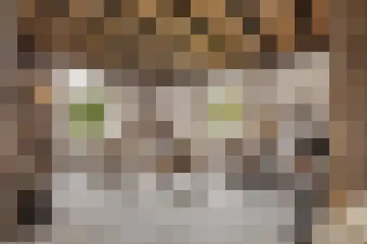 Bentveldsweg 108 Aerdenhout thumbnail 6