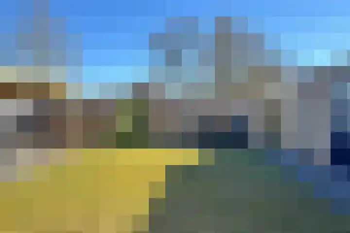 Berberis 2 Coevorden thumbnail 10