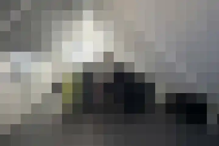 Berberis 2 Coevorden thumbnail 24