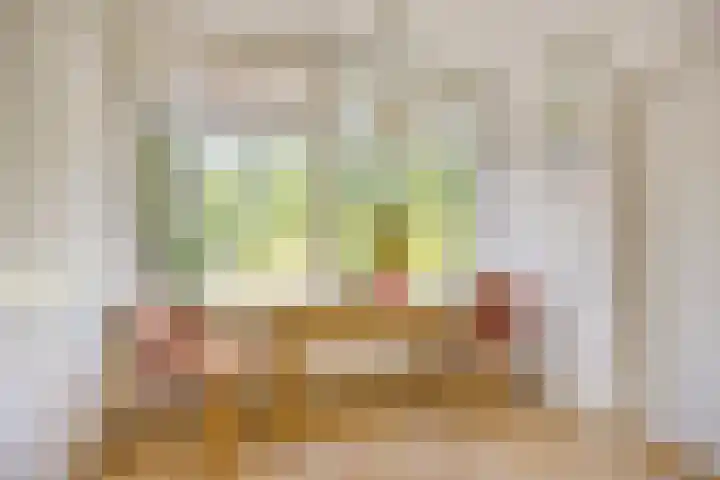 Berberislaan 12 Winterswijk thumbnail 14