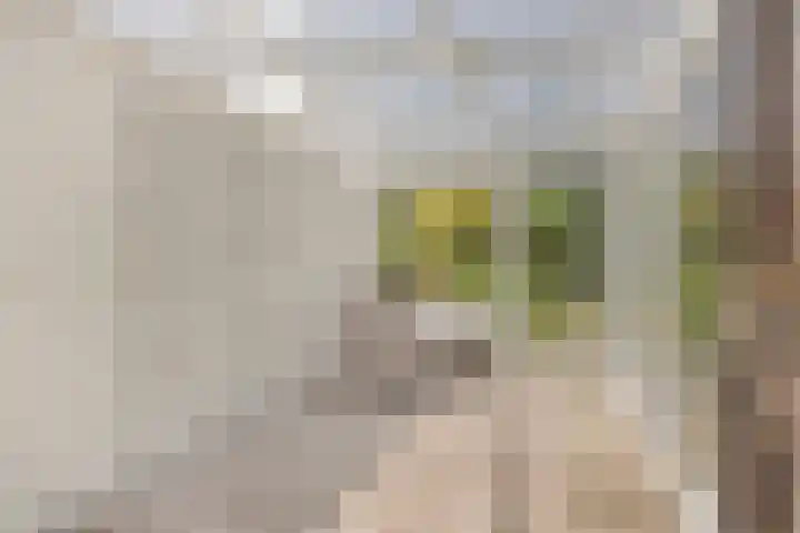 Berberislaan 12 Winterswijk thumbnail 23