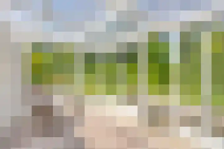 Berberislaan 12 Winterswijk thumbnail 25
